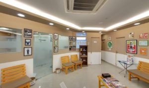 Clove Dental Sector 7 Dwarka Image 6