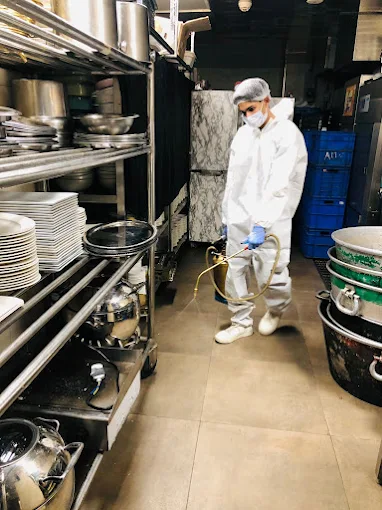 A2Z Pest Control Delhi Banner