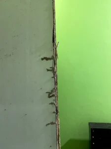 A2Z Pest Control Delhi 6