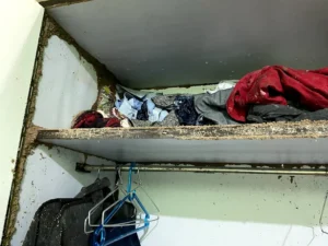 A2Z Pest Control Delhi 7