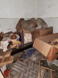 A2Z Pest Control Delhi 9