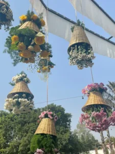 Adorable Events 2