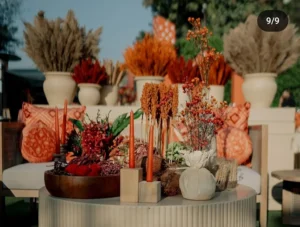 Avaya Decor 3