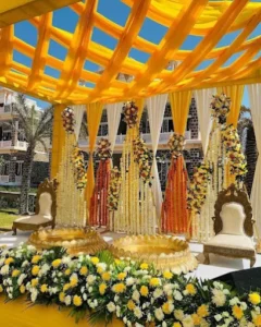 Avaya Decor 6