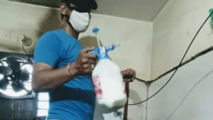 Blk pest control services 2