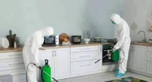 Gone insecto Pest control 1