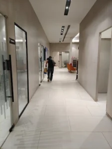 Gone insecto Pest control 2