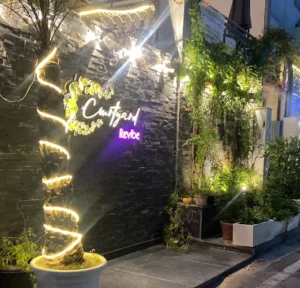 Courtyard Revibe 4
