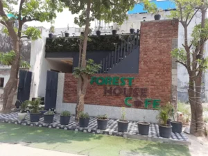 Forest House Cafe 1
