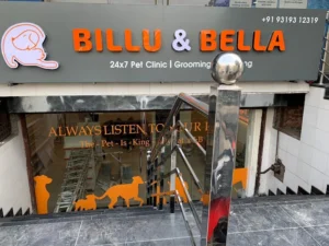 Billu & Bella 1